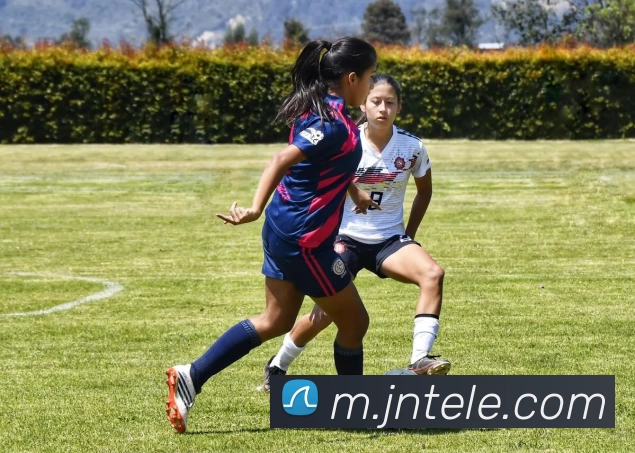 战术分析频道